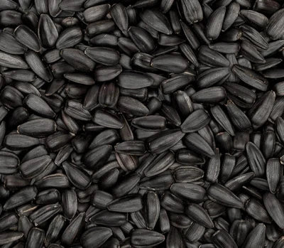 Black seed oil